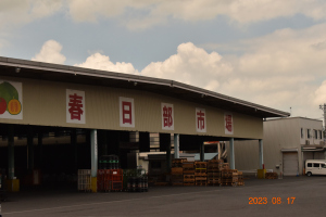 春日部 2023 年 8 月 17 日 春日部 2023 年 8 月 17 日