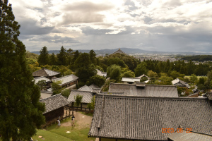 東大寺 2023 年 8 月 22 日