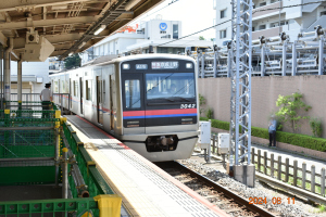 佐倉 2024 年 8 月 11 日 佐倉 2024 年 8 月 11 日